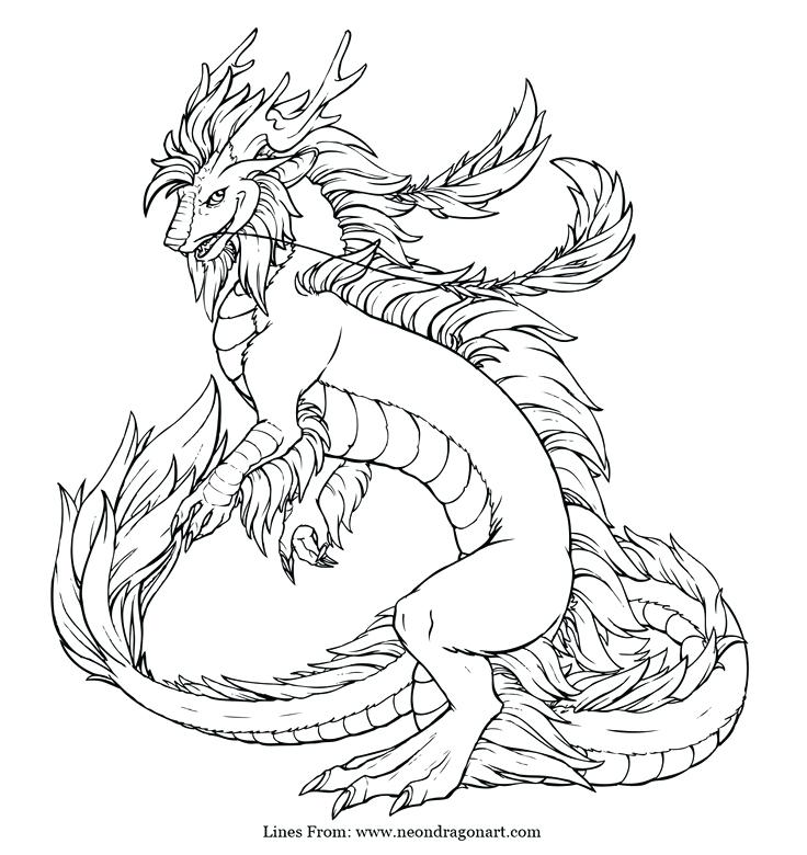 736x780 Realistic Dragon Coloring Pages Ebestbuyvn.co