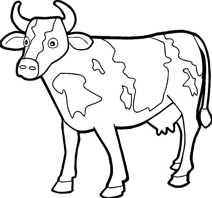 728x681 Coloring Pages Cow Cow Coloring Page Cow Coloring Pages