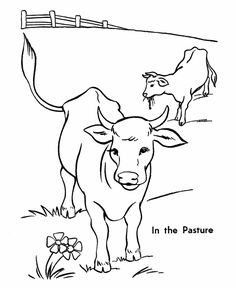 236x288 Cow Coloring Pages