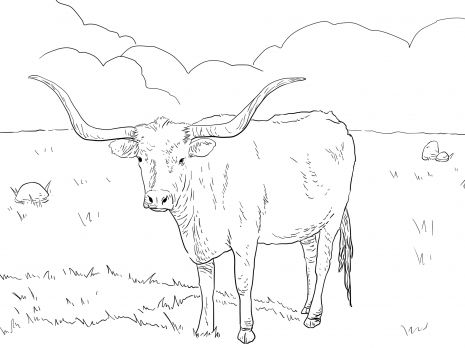 465x348 3320 Best Coloring Pages Images On Coloring Pages