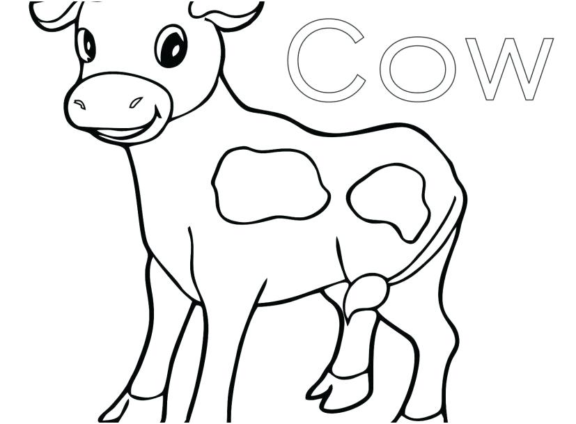 827x609 Cow Head Outline Coloring Page Free Printable Coloring Pages Cow