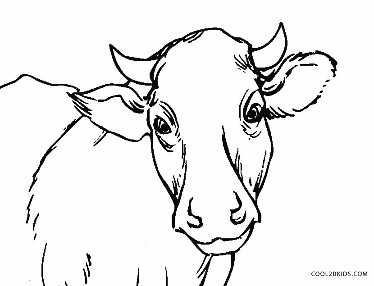 750x573 Free Printable Cow Coloring Pages For Kids Cool2bkids