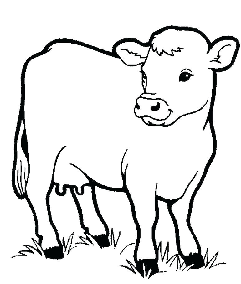 773x910 Free Printable Cow Coloring Pages For Kids Realistic Cow Coloring