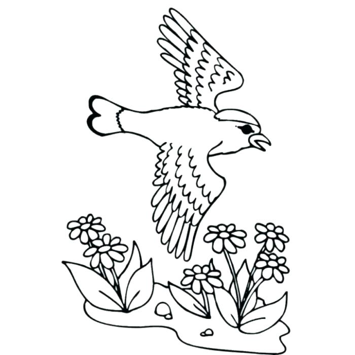 700x700 Coloring Pages Animals Realistic Coloring Pages For Animals Cute