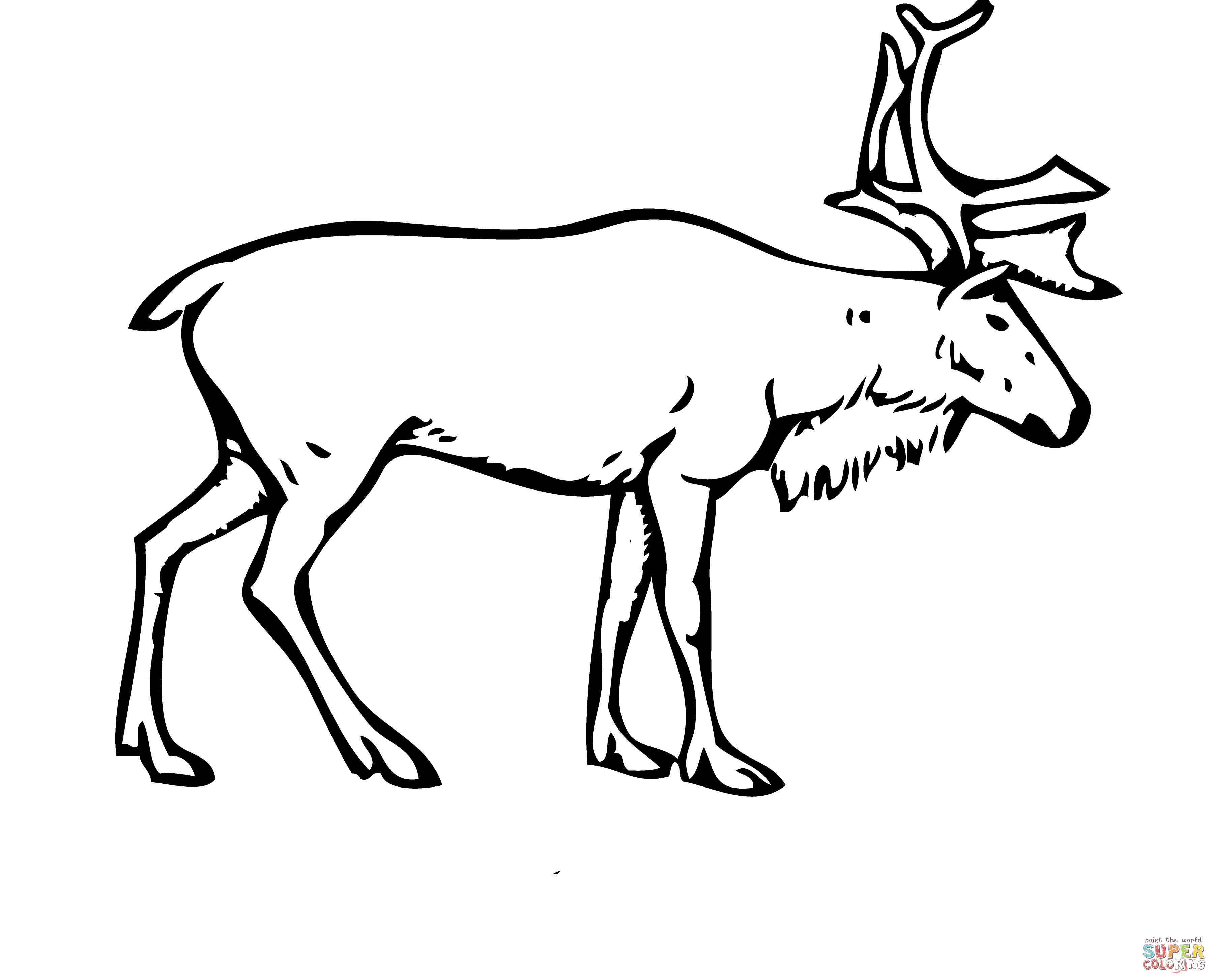 3597x2907 How To Draw A Realistic Reindeer Reindeer Deer Coloring Page