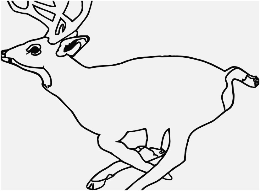 827x609 Top Rated Picture Realistic Reindeer Coloring Pages Lovely
