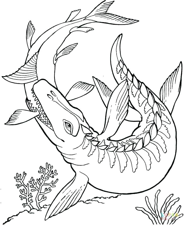 778x953 Dinasour Coloring Pages Dinosaurs Cartoon Dinosaur Coloring Pages