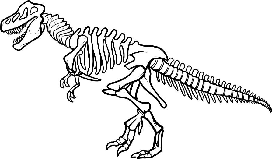 894x522 Dino Coloring Pages Realistic Dinosaur Bones Coloring Pages