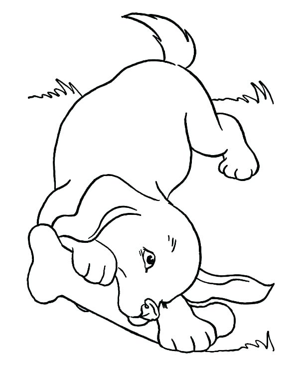 600x734 Coloring Pages Of Dogs Realistic Dog Coloring Pages Free Coloring