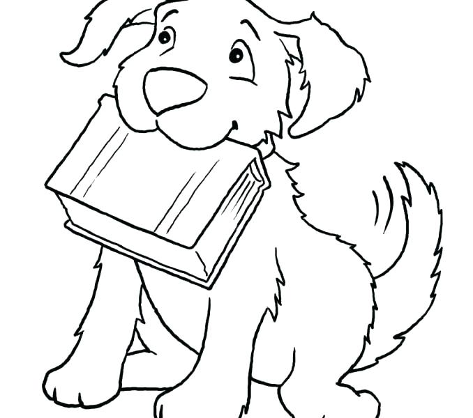 678x600 Puppy Printable Coloring Pages Husky Realistic Dog Pencil And