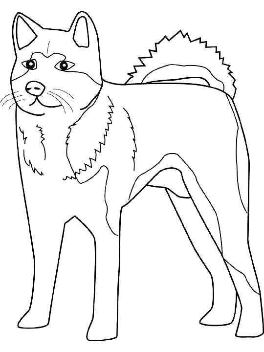 540x720 Realistic Dog Coloring Pages Free Dog Coloring Pages Complete