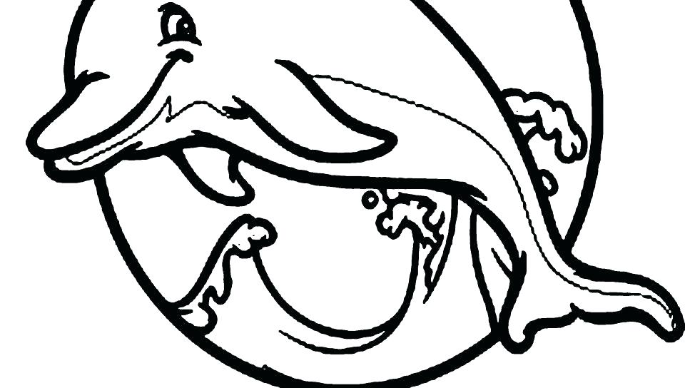 960x544 Dolphin Picture To Color
