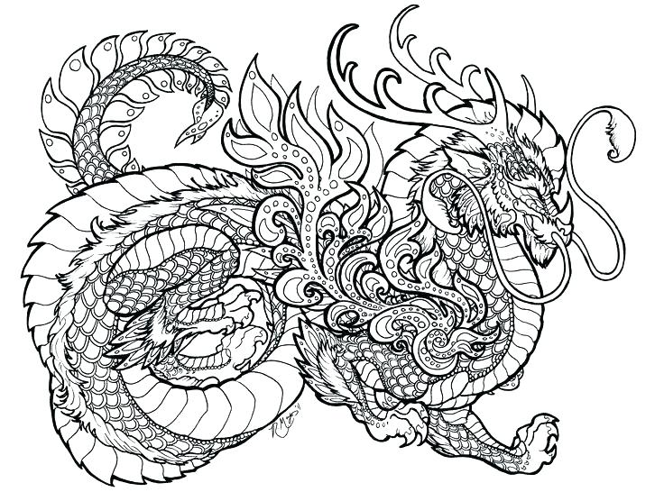 736x546 Cute Dragon Coloring Pages Dragon Coloring Sheets Realistic