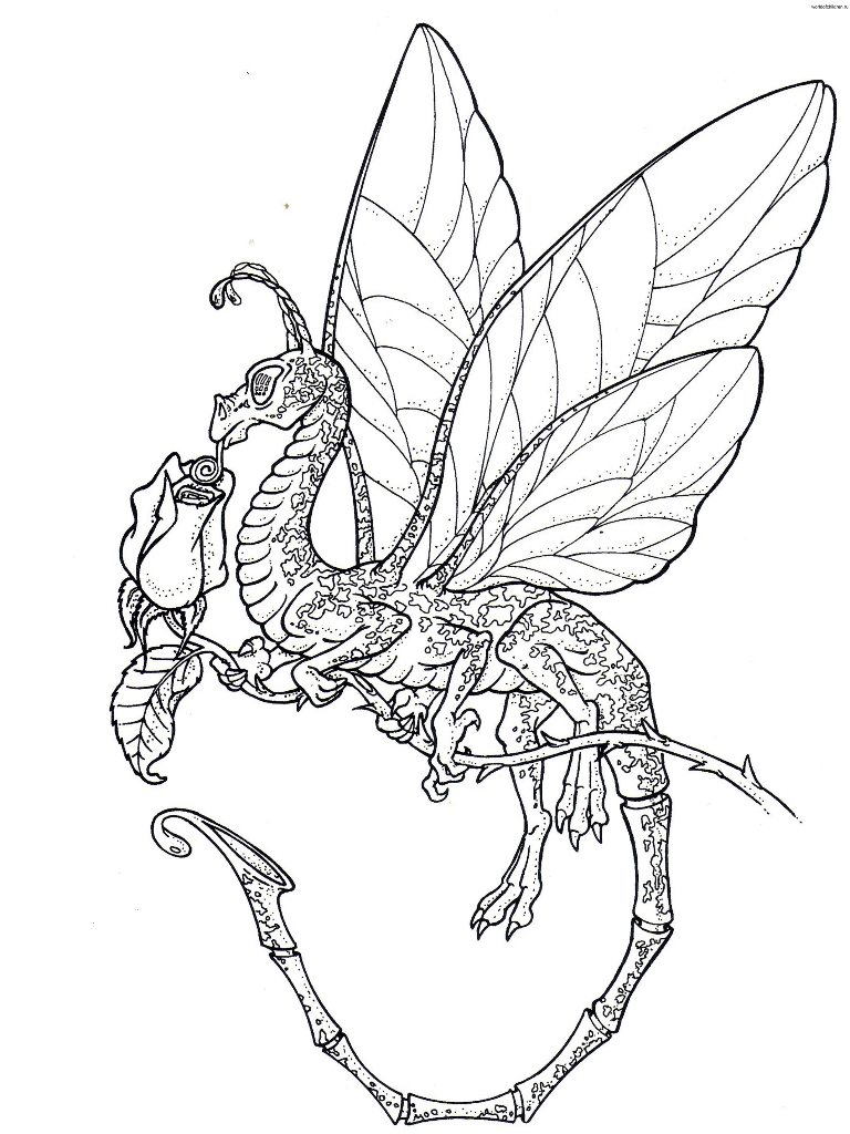 Realistic Dragon Coloring Pages For Adults
