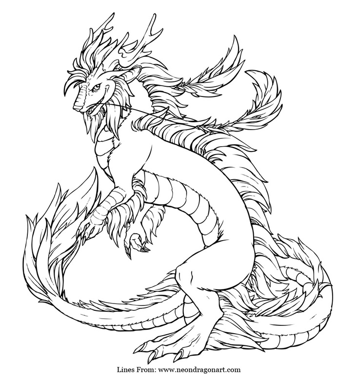 736x780 Realistic Dragon Coloring Pages