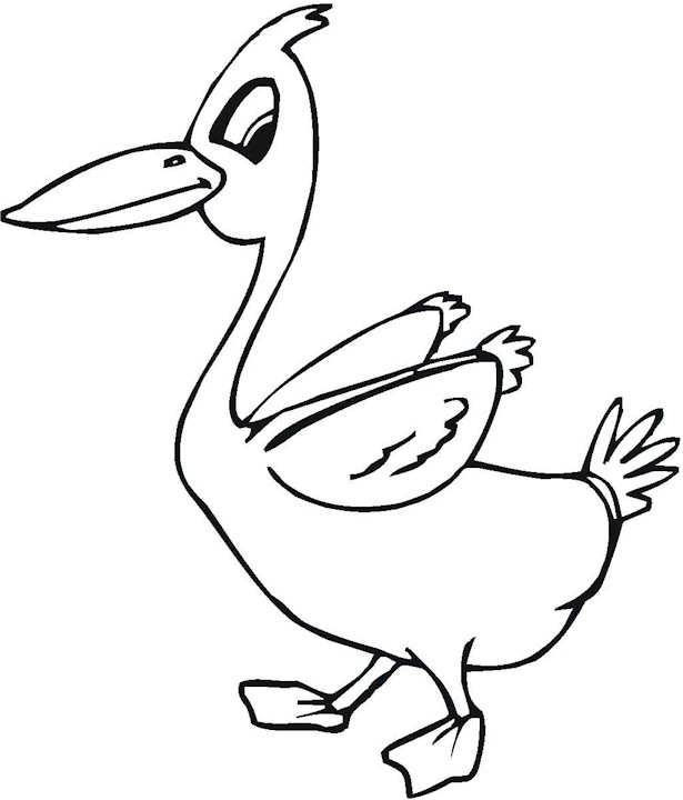 615x720 Realistic Baby Duck Coloring Pages 3271876