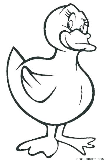 370x550 Duck Coloring Pictures Daffy Duck Coloring Page