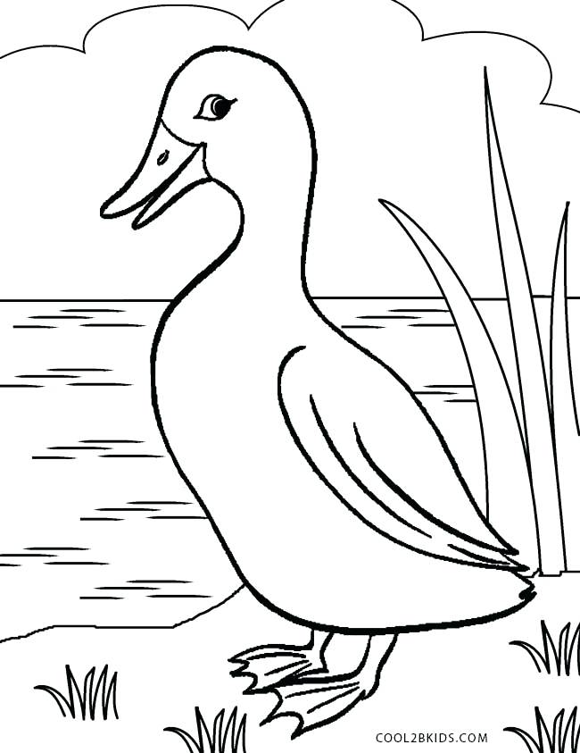 650x843 Duck Coloring Pictures Printable Duck Coloring Pages For Kids