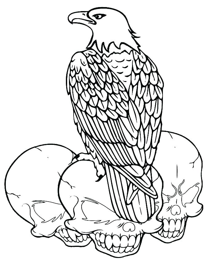 669x850 Coloring Pages Of Bald Eagles Bald Eagle Coloring Pages Bald Eagle