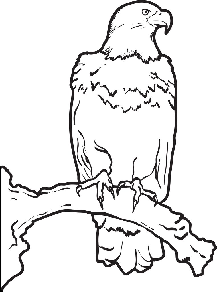 761x1024 Free, Printable Bald Eagle Coloring Page For Kids Supplyme