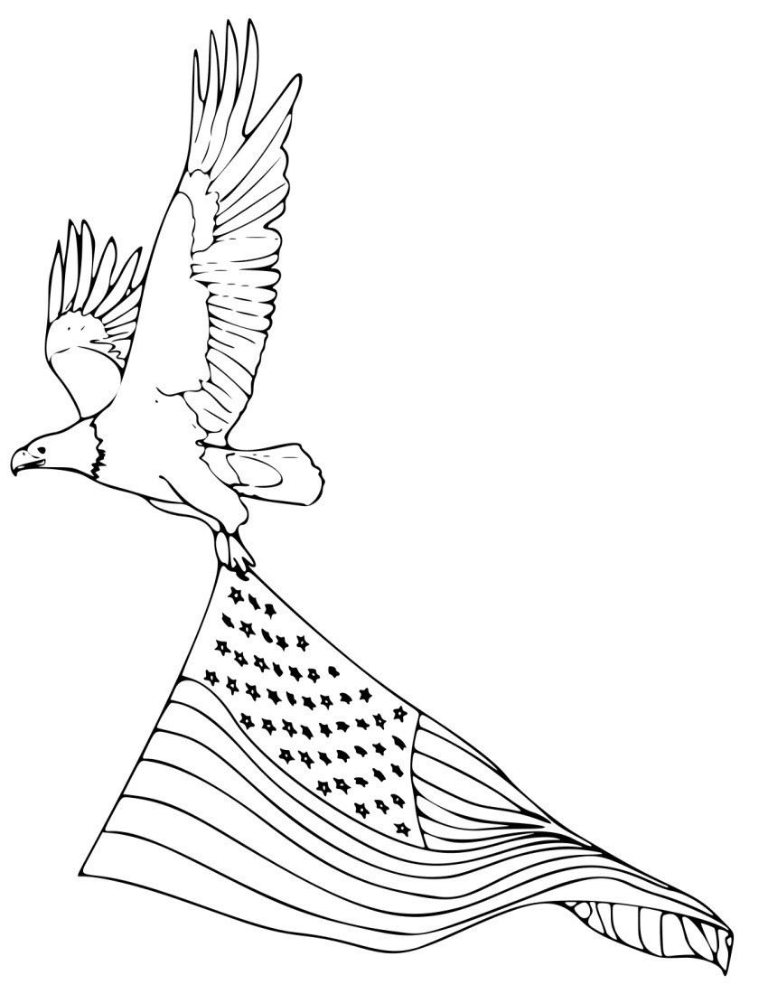 850x1100 Bald Eagle Coloring Page Thebarnyard