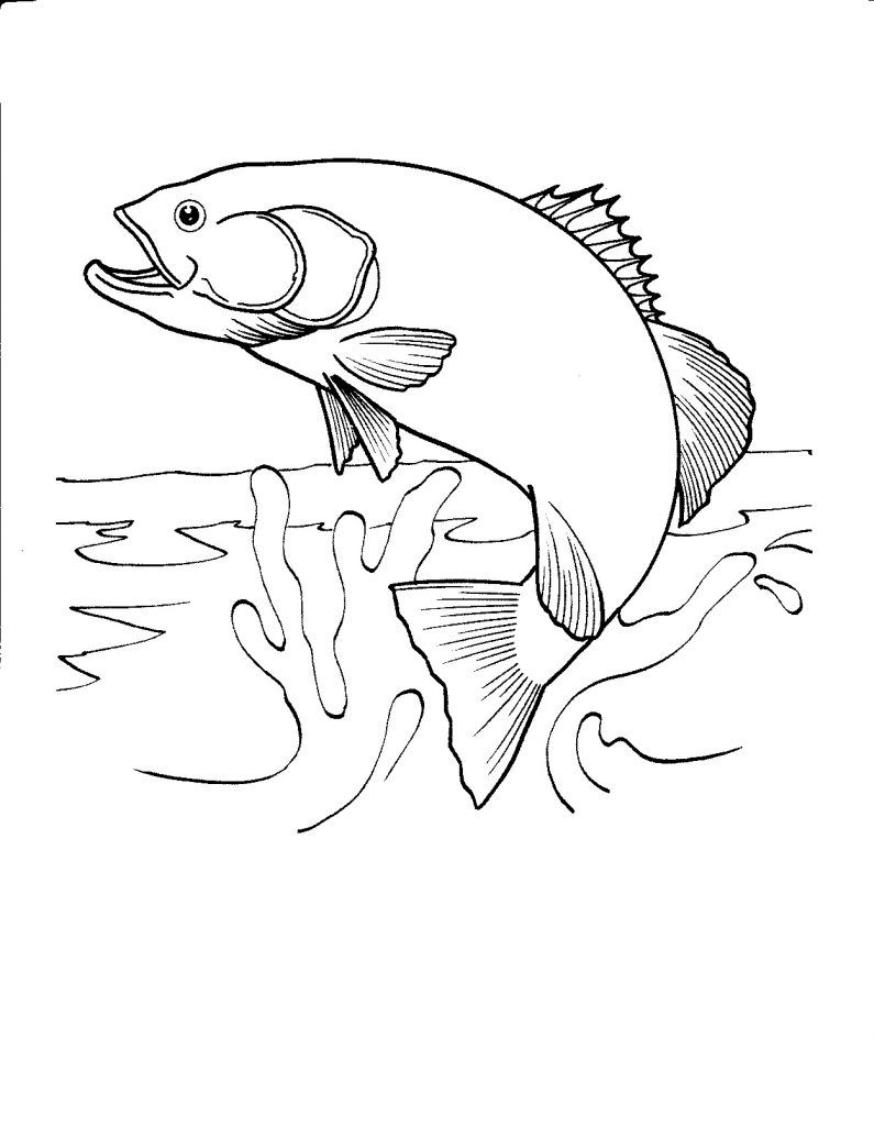 795x1024 Free Printable Fish Coloring Pages For Kids Animales