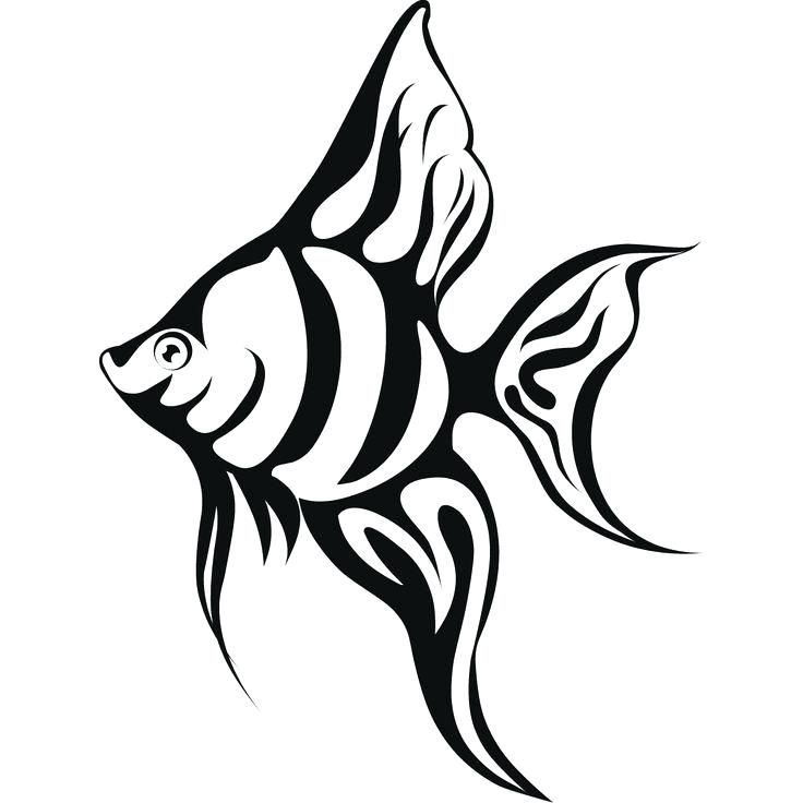 736x736 Realistic Fish Coloring Pages Drawn Gold Fish Tropical Fish 3