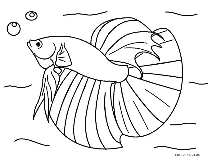 670x512 Realistic Fish Coloring Pages Realistic Fish Coloring Pages