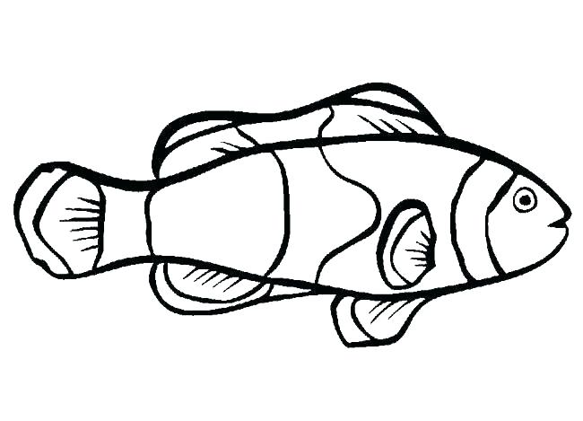 650x469 Realistic Fish Coloring Pages Tropical Fish Coloring Pages