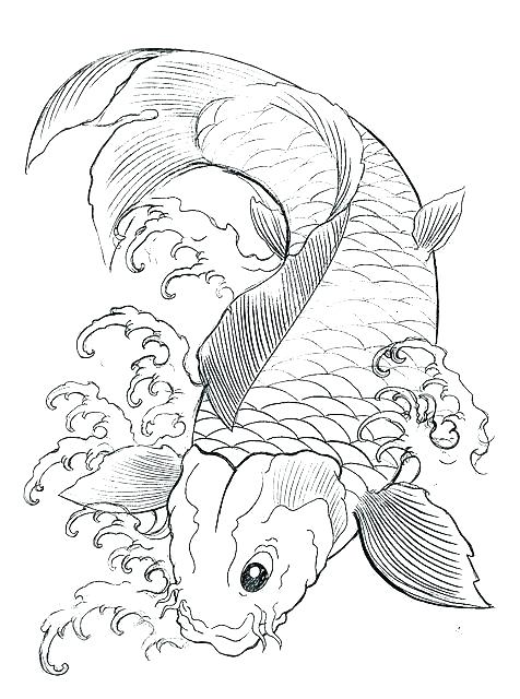 476x640 Tropical Fish Coloring Pages Realistic Fish Coloring Pages