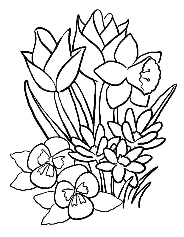 618x795 Coloring Pages Flowers Realistic Flower Coloring Pages