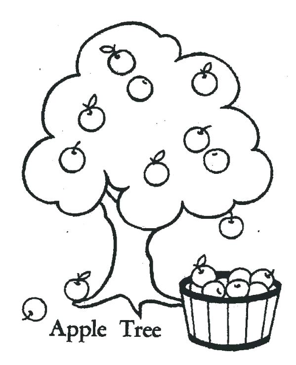 599x739 Apple Tree Coloring Page Apple Tree Coloring Page Realistic Apple