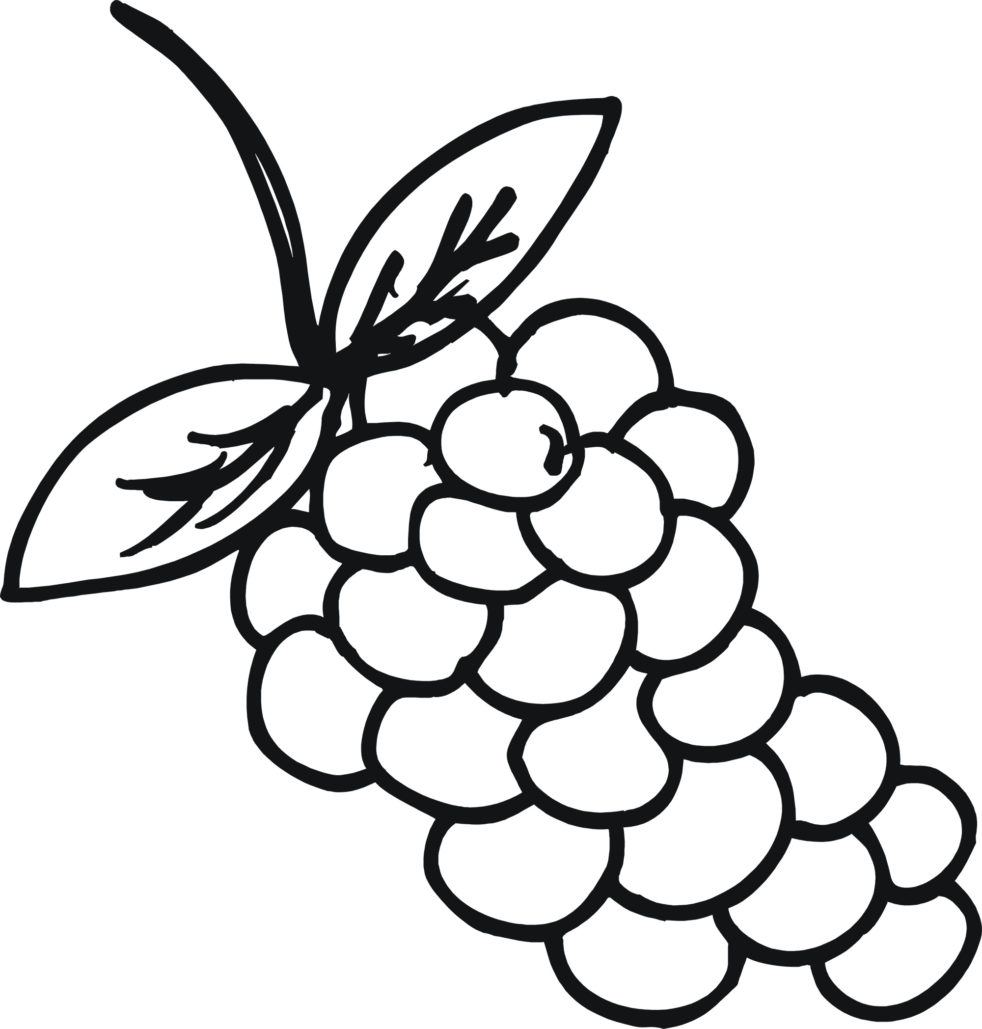 2000x2096 Shining Inspiration Food Coloring Pages Download Grapes Page