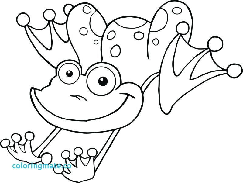 800x602 Frog Color Pages Cartoon Coloring Medium Size Realistic Frog