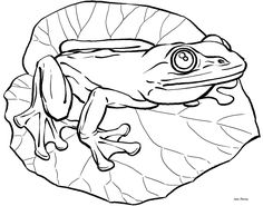 236x185 Frogs Coloring Pages Coloring Pages Frogs