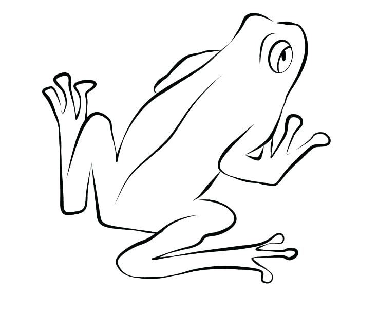 736x644 Frogs Coloring Pages Frog Coloring Pages Prints And Colors Tree