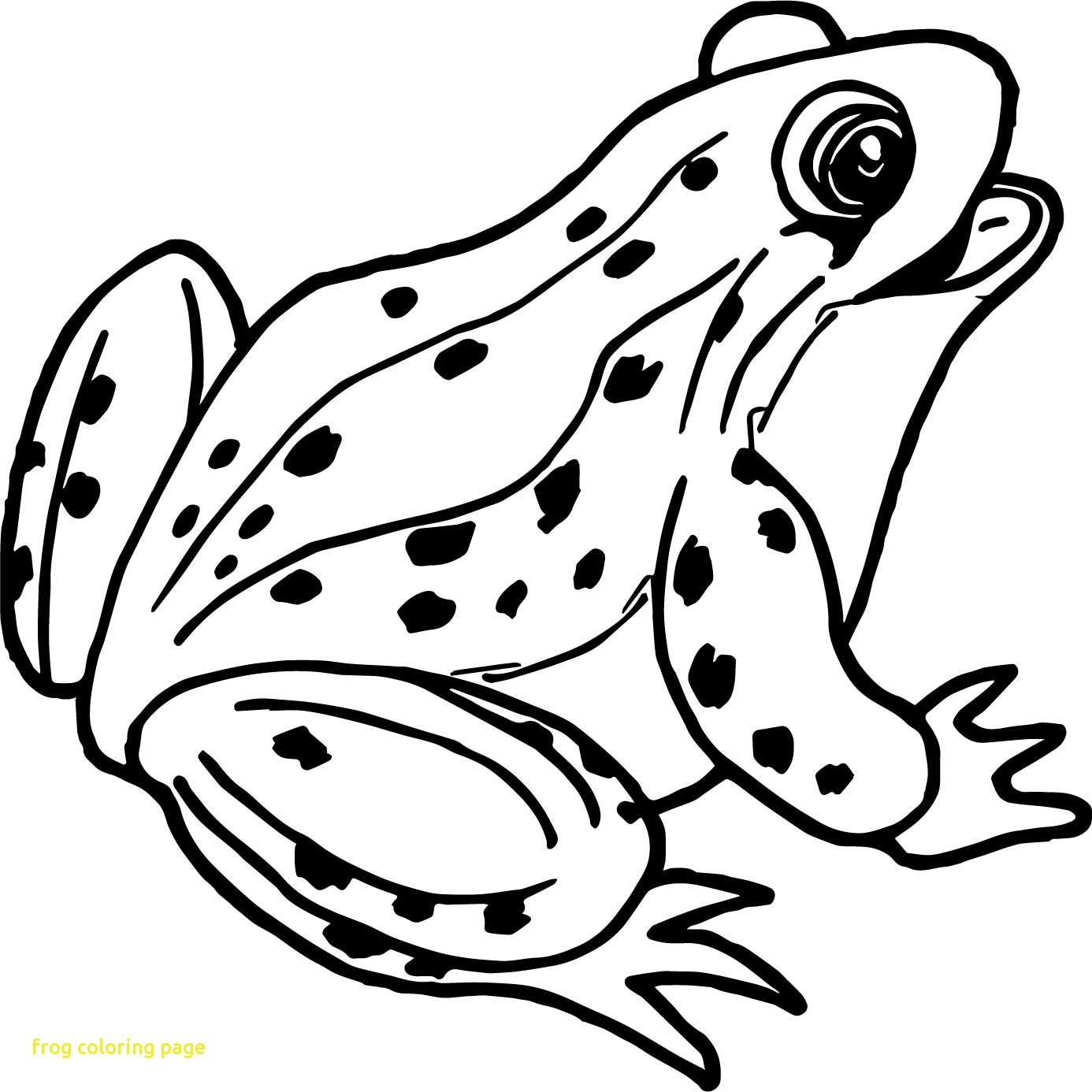 1386x1386 Spotlight Realistic Frog Coloring Pages Frogs