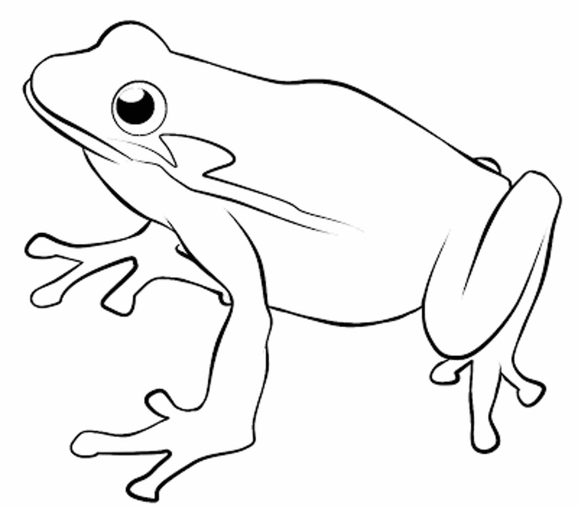 2000x1750 Free Frog Coloring Pages For Kids Frog Coloring Pages On With Hd