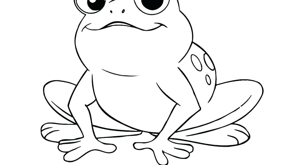 960x544 Realistic Frog Coloring Pages