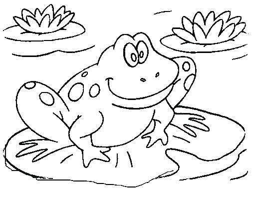 507x408 Coloring Pages Frog Best Frog Coloring Pages Ideas On Realistic