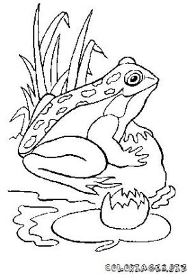 273x400 Coloring Pages For Kids To Print