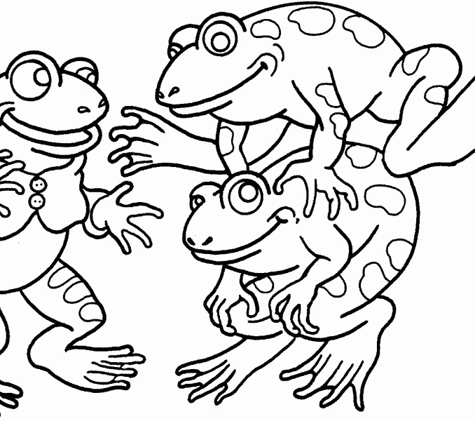 678x600 Crazy Frog Coloring Pages Stock Realistic Frog Outline Cute Frog