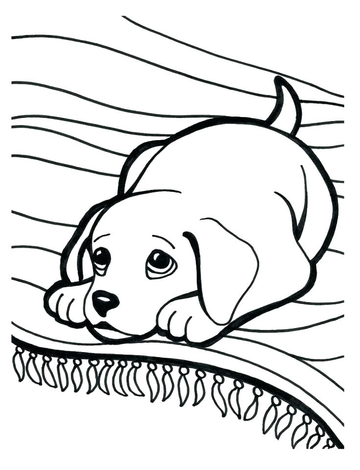 736x960 German Shepherd Coloring Pages Printable German Shepherd Dog