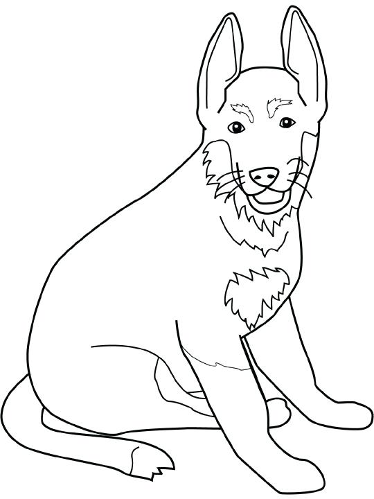 540x720 German Shepherd Coloring Pages Shepherd Coloring Page Cartoon Cute