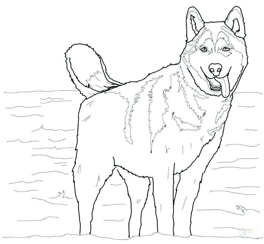900x834 German Coloring Pages Coloring Pages Realistic German Shepherd
