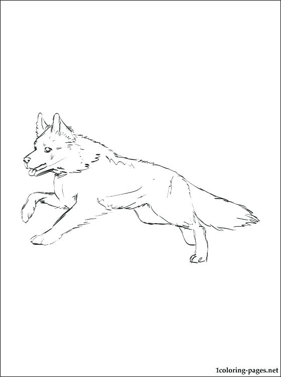 560x750 German Shepherd Coloring Page Shepherd Coloring Realistic German