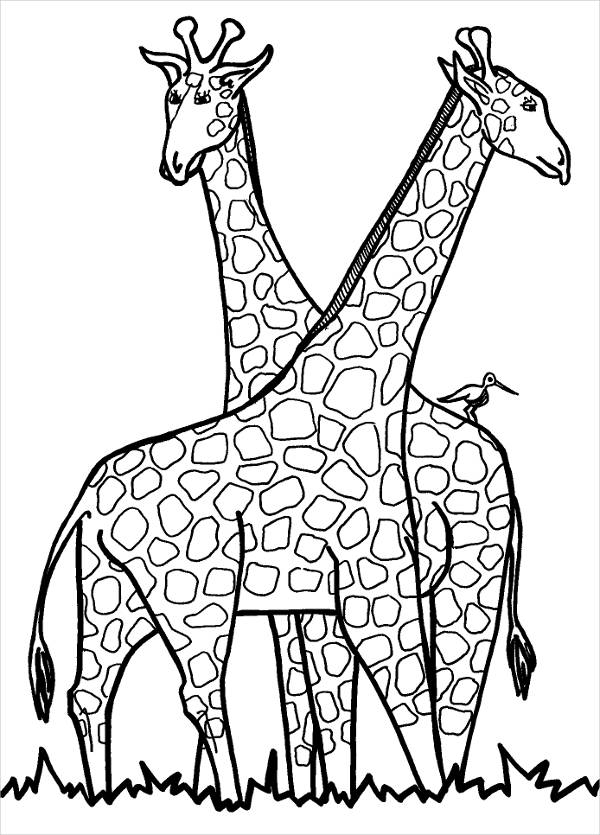Realistic Giraffe Coloring Pages