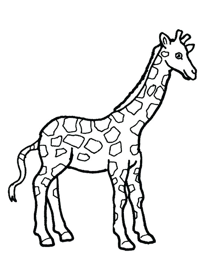 718x957 Giraffe Coloring Pages Coloring Pages Giraffe Adult Giraffes