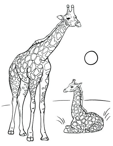 392x507 Giraffe Coloring Pages Giraffe Color Page Baby Giraffe Pictures