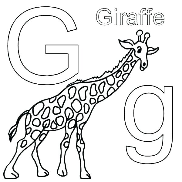600x600 Giraffes Coloring Pages For Also Giraffe Coloring Page 3 Giraffe